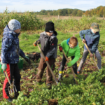 Konzepte zum ActionLearning auf dem Acker (Web-Seminar)